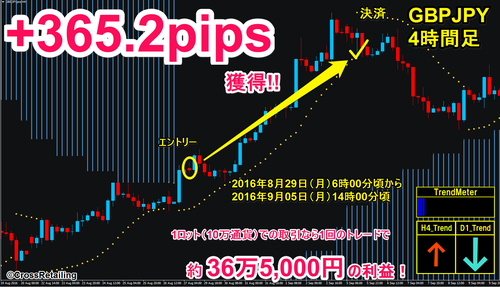 ミリオネアトレードFX・2016年8月29日365.2pips.png